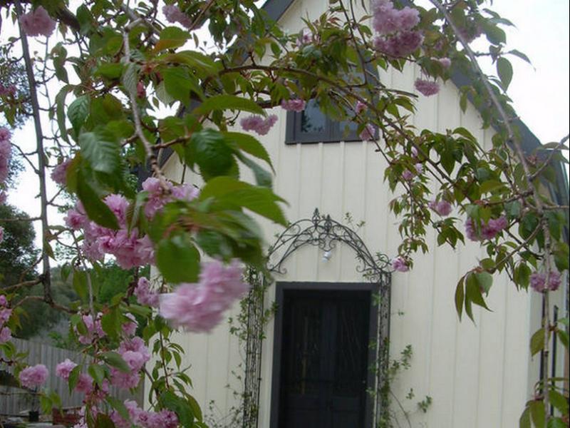 Silverleaf Cottage Rye Exteriör bild